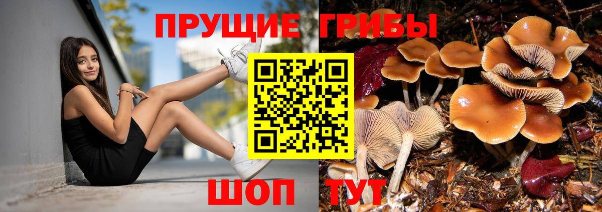 Псилоцибиновые грибы прущие грибы  Вход с VPN  Сокол  Галлюциногенные грибы Magic Shrooms 